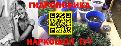 бошки Анапа