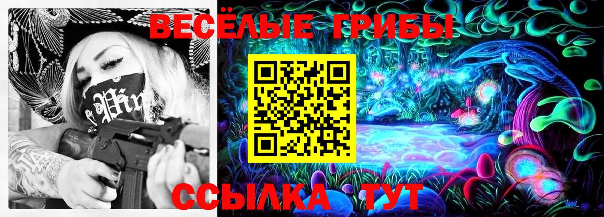 Кирово-Чепецк  Псилоцибиновые грибы Magic Shrooms  Вход с VPN 